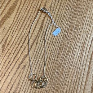 Elegant Gold and Silver Necklace